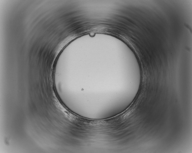 X0000100341434200806261316