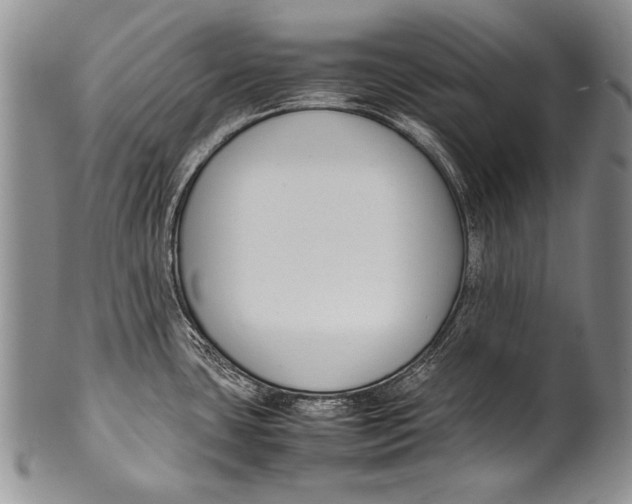 X0000100341435200806261316