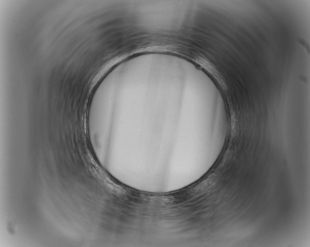 X0000100341436200806261316