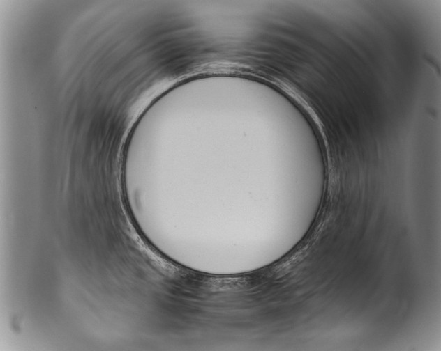 X0000100341437200806261316