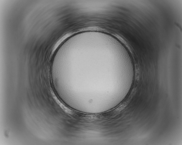 X0000100341438200806261316