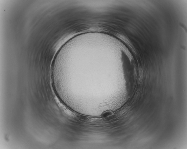 X0000100341439200806261316