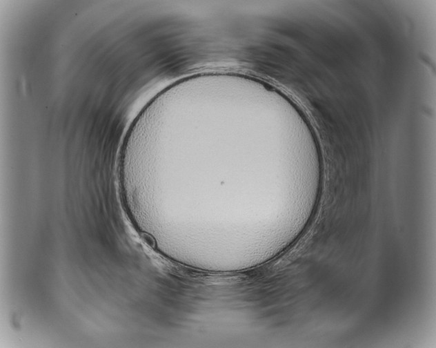 X0000100341440200806261316