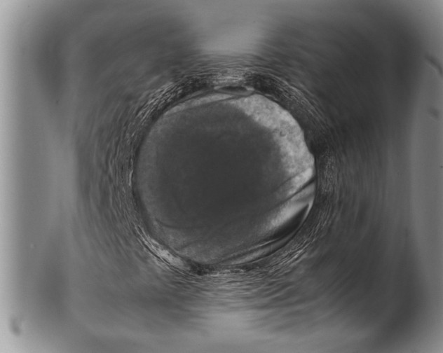 X0000100341441200806261315