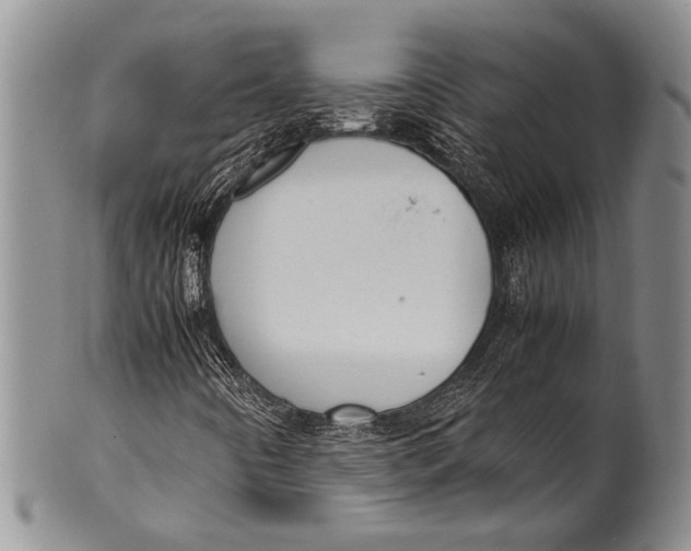 X0000100341442200806261315