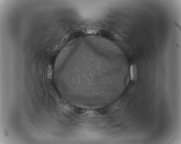 X0000100341443200806261315