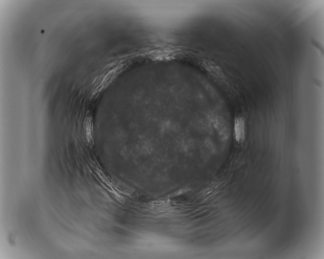 X0000100341444200806261315