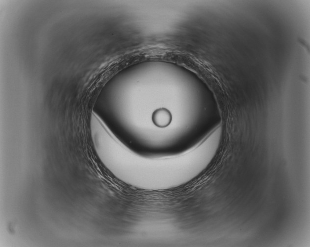 X0000100341445200806261315