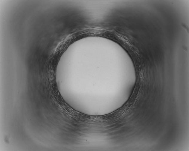 X0000100341447200806261315