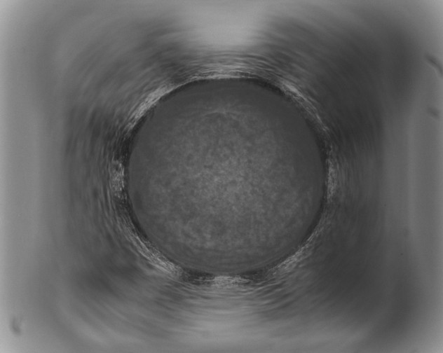 X0000100341449200806261315