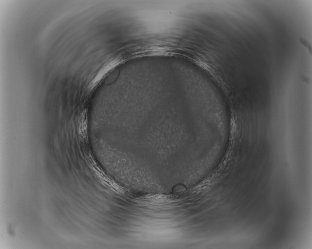 X0000100341450200806261315