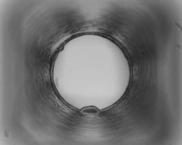 X0000100341452200806261315