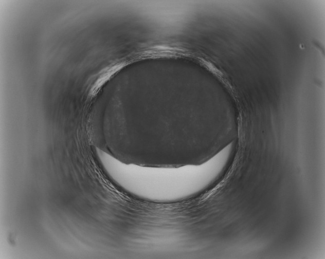 X0000100341453200806261315