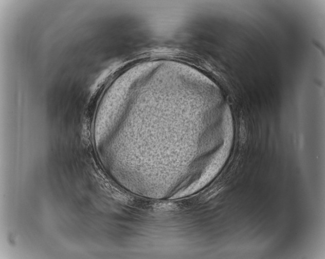 X0000100341454200806261315