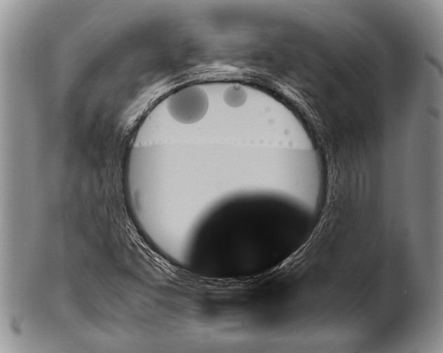 X0000100341455200806261315