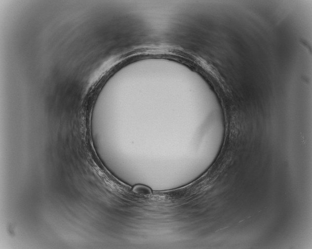 X0000100341456200806261315