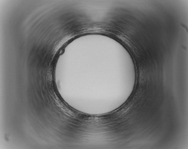 X0000100341458200806261315