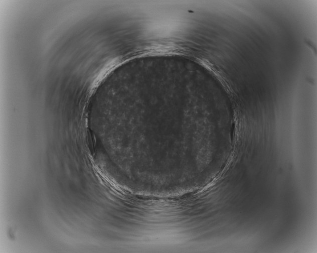 X0000100341459200806261315