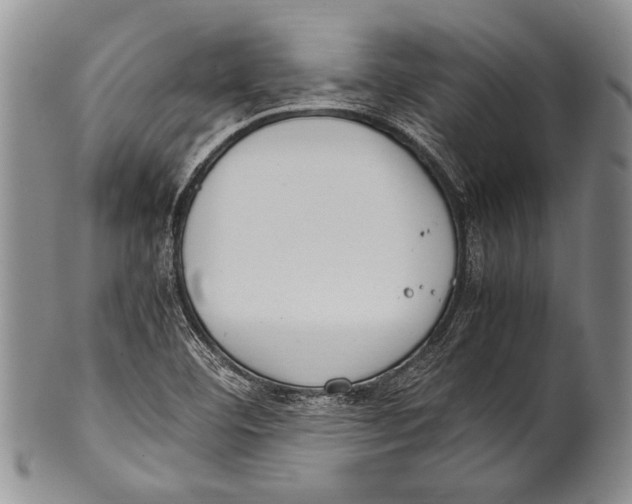 X0000100341460200806261315