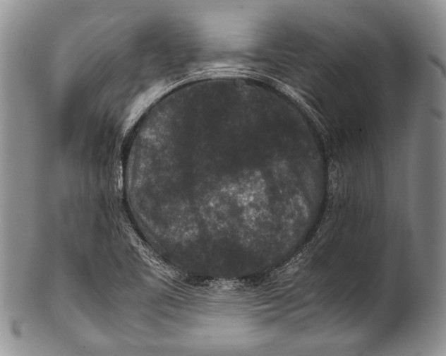 X0000100341461200806261315