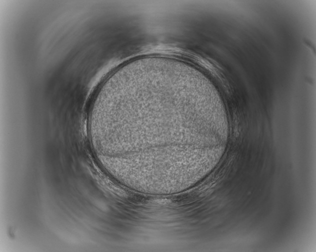 X0000100341462200806261315