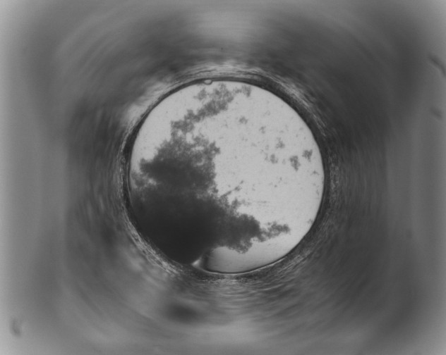 X0000100341463200806261315