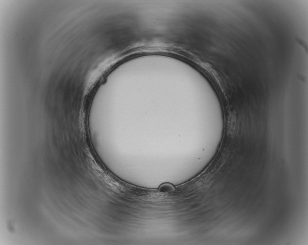 X0000100341464200806261315