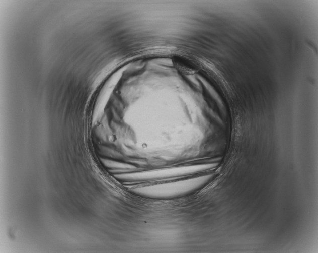 X0000100341467200806261315