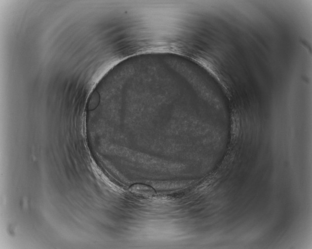 X0000100341468200806261315