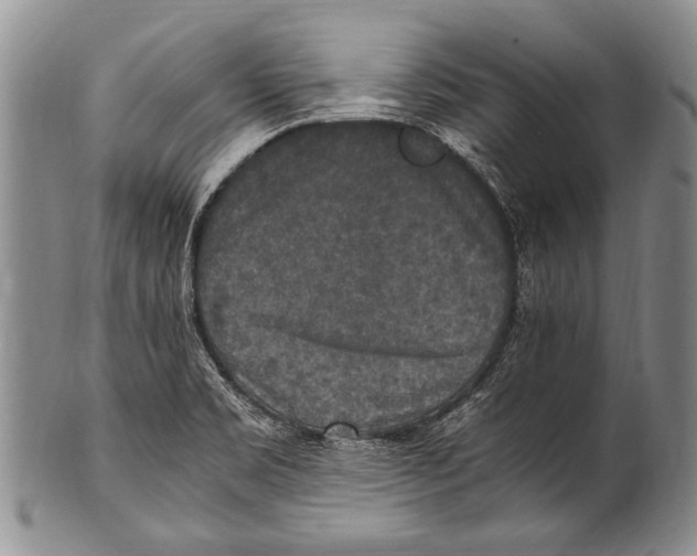 X0000100341469200806261315