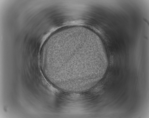 X0000100341470200806261315