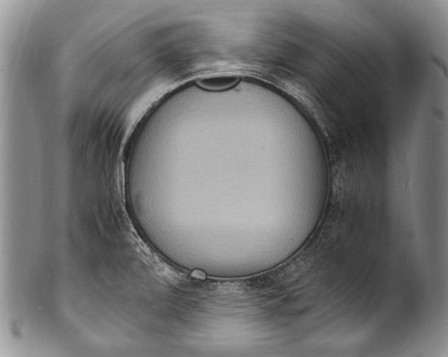 X0000100341472200806261315