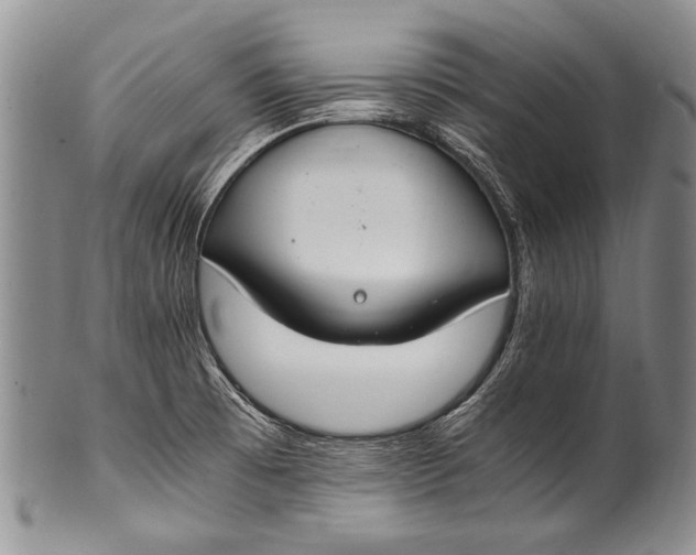 X0000100341473200806261315