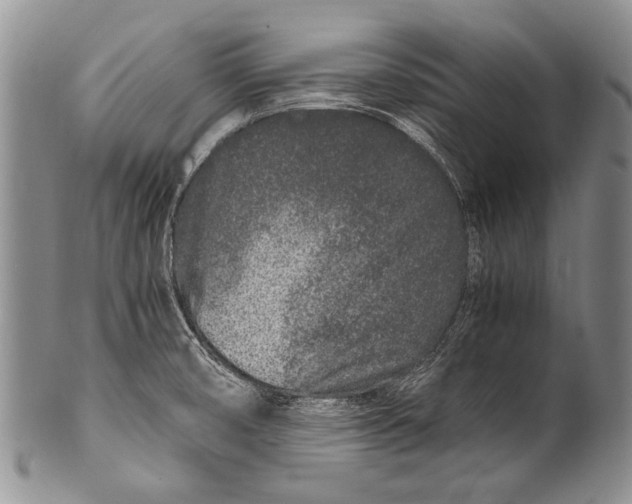 X0000100341474200806261315