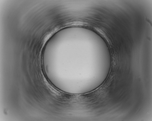 X0000100341475200806261315