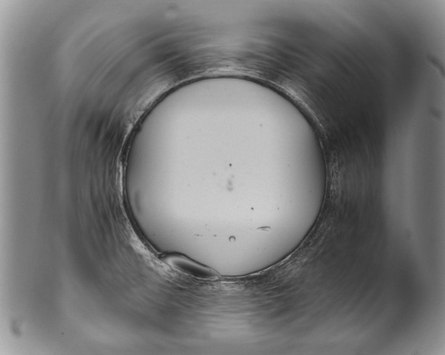 X0000100341476200806261315