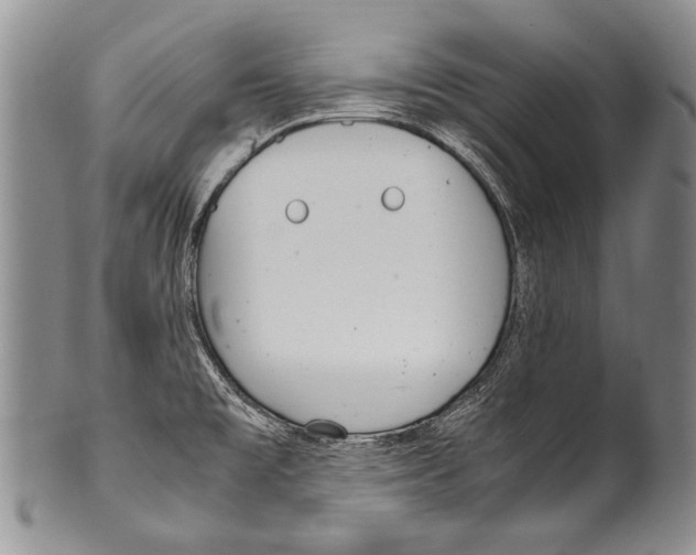 X0000100341477200806261315