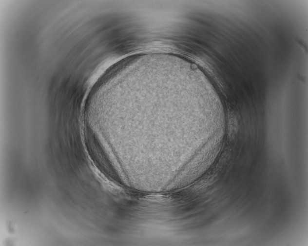 X0000100341478200806261315