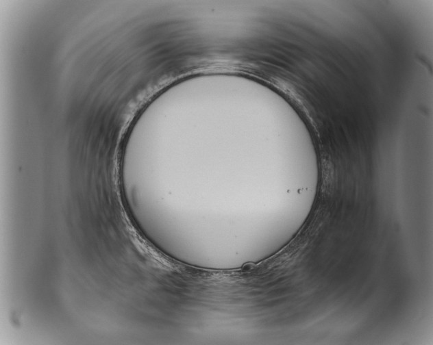 X0000100341480200806261314