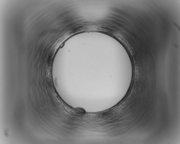 X0000100341481200806261314