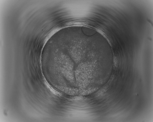 X0000100341482200806261314