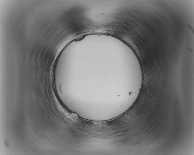 X0000100341483200806261314