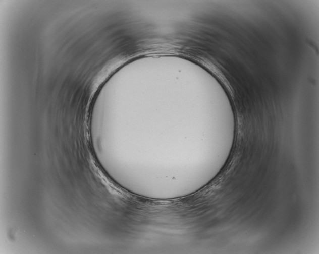 X0000100341485200806261314