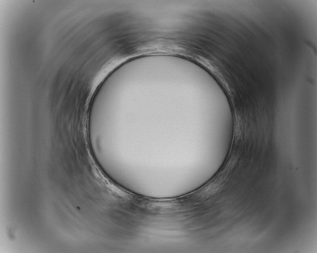 X0000100341486200806261314