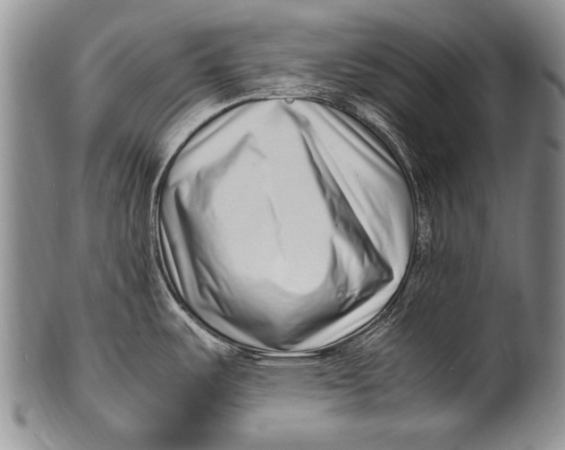 X0000100341487200806261314