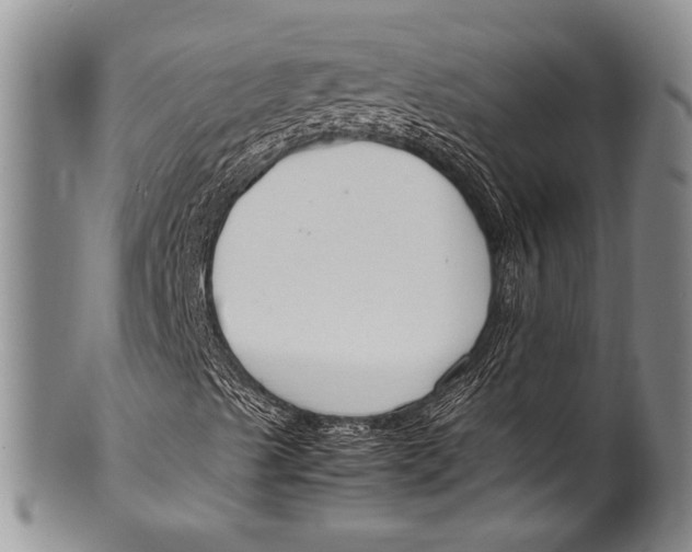 X0000100341489200806261314