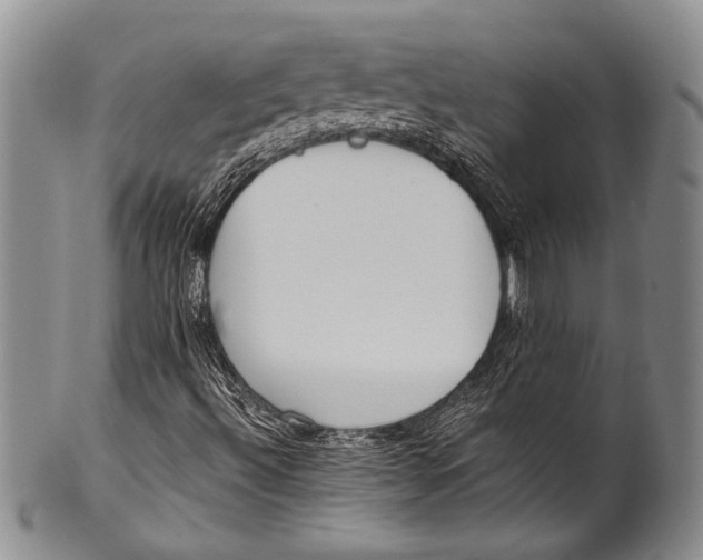 X0000100341492200806261314