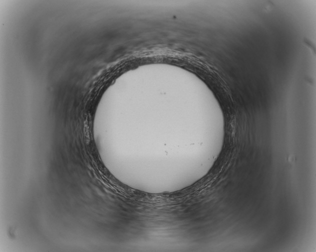 X0000100341493200806261314