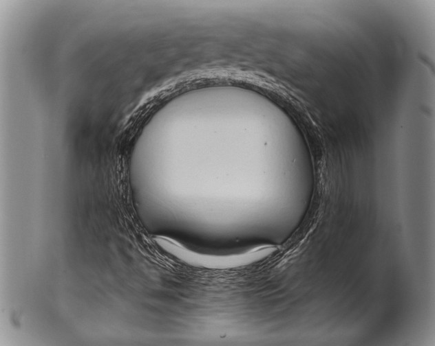 X0000100341494200806261314