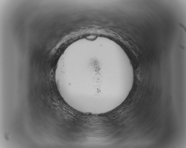 X0000100341495200806261314